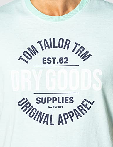 Tom Tailor 1025985 Print Camiseta, 26721 Lucite Green Fine Stripe - Juego de Mesa de Juguete, S para Hombre