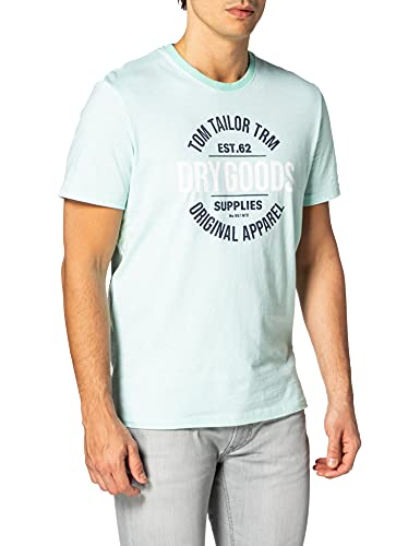 Tom Tailor 1025985 Print Camiseta, 26721 Lucite Green Fine Stripe - Juego de Mesa de Juguete, S para Hombre