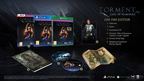 Torment: Tides of Numenera - Edizione Day-One - PC [Importación italiana]