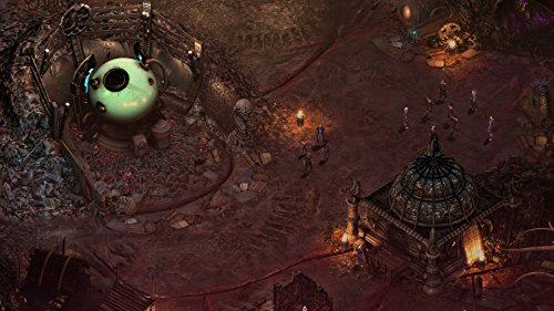 Torment: Tides of Numenera [Importación francesa]