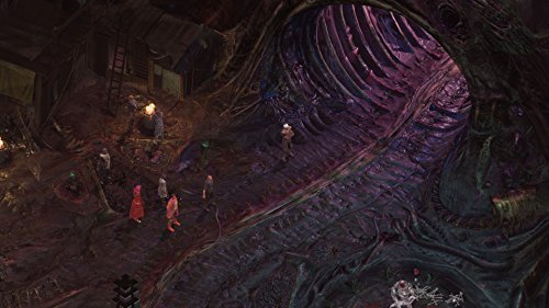 Torment: Tides of Numenera [Importación francesa]