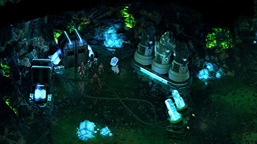 Torment: Tides of Numenera [Importación francesa]