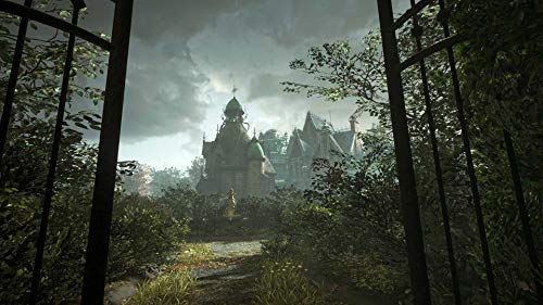 Torn (PSVR) - PlayStation 4 [Importación inglesa]