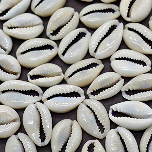 TOSSPER 50 Pc Cowrie Conchas Conchas De Mar para La Joyería Que Hace Hadas Oval Natural Cuentas De Concha De Caracol Ocean Beach Craft Puka Conchas