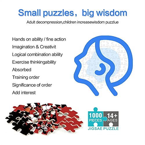 TOSSPER Rompecabezas de Papel para Adultos 1000 Piezas Star Wars The Old Republic Puzzle Challenge Jigsaw Games Birthday38x26cm