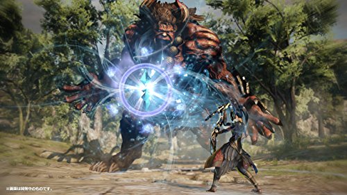 Toukiden 2 - Standard Edition [PS3][Importación Japonesa]