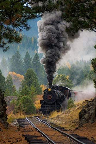 Train notebooks - achieve your goals, perfect 120 lined pages #4