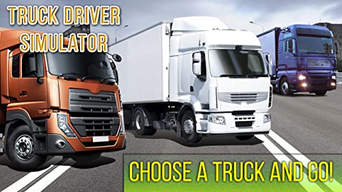 Truck Driver Simulator (NoAds)