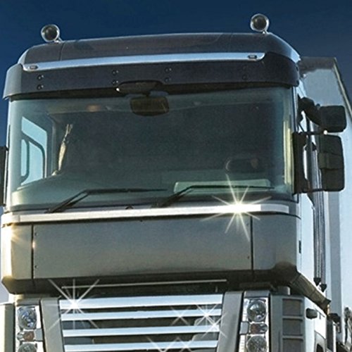 TRUCK DUCK rayas universal Cromo decorativas 10 m x 50 mm Protector de pantalla rayas etiqueta adhesiva Camiones Auto Moto