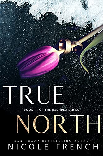 True North: 3 (Bad Idea)