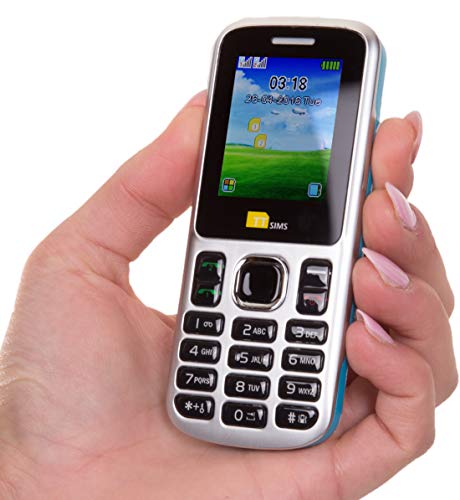 TTsims Dual Sim TT130 teléfono móvil más Barato Twin 2 Sim teléfono con cámara y Bluetooth Pay As You Go (GIFF Gaff, Azul)