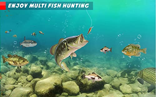 Ultimate Fishing Mania Hook Fish Captura de juegos