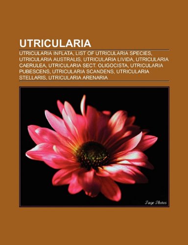 Utricularia: Utricularia Inflata, List O: Utricularia inflata, List of Utricularia species, Utricularia australis, Utricularia livida, Utricularia ... Utricularia stellaris, Utricularia scandens