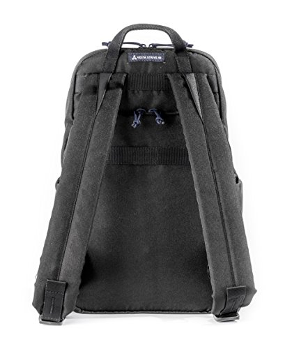 Vanguard Vesta Strive 40 - Mochila para cámara réflex y Accesorios, 22x14x39cm, Color Negro