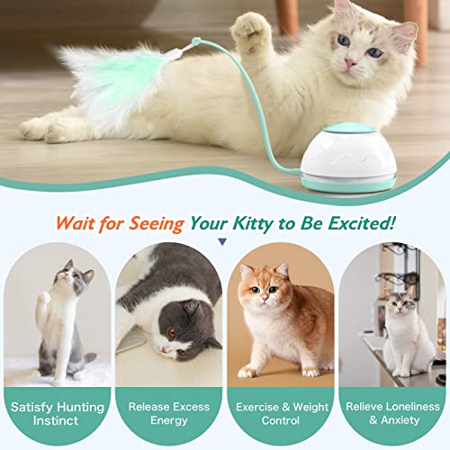 VavoPaw Molino de Viento para Gatos, Placa Giratoria Electrónica Automática con Varillas Plumas Oruga Cubierta Tocadiscos de Juego Captura Juguete Interactivo Divertido para Gatitos, Verde