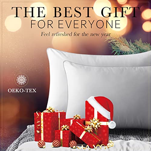 viewstar Almohadas ES (50x86cm)