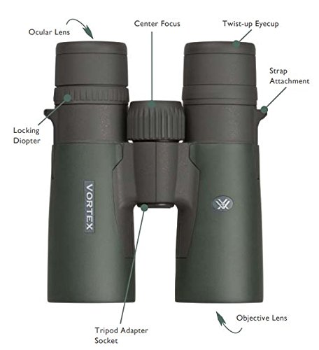 Vortex Optics Razor HD 10x42 Binocular Techo Verde - Binoculares (10x, 4,2 cm, Techo, Verde, 4,2 mm, 1,65 cm)