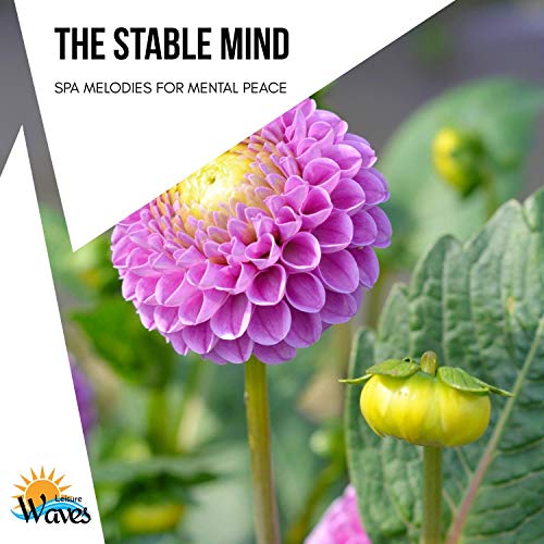 Wandering in the Woods