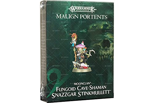 Warhammer Age of Sigmar Fungoid Cave-Shaman Snazzgar Stinkmullett