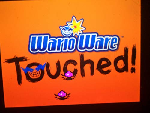 Wario Ware touched