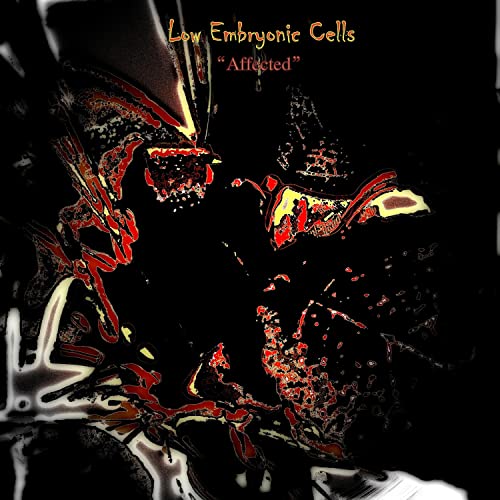 Where Is the Light After Death