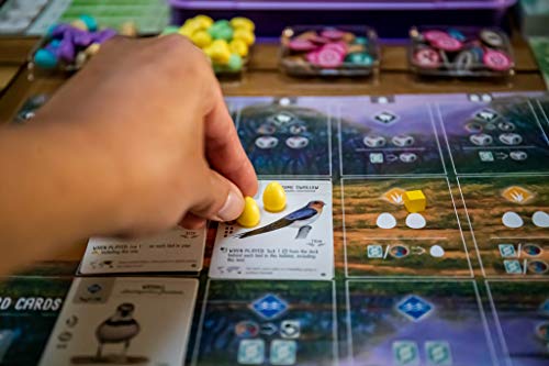 Wingspan Oceania Expansion Board Game