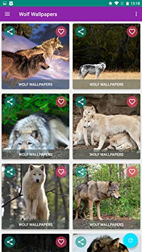 Wolf Wallpaper HD 4K Free