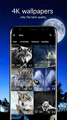 Wolf Wallpapers 4K & HD Backgrounds apps