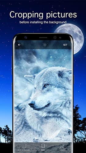Wolf Wallpapers 4K & HD Backgrounds apps