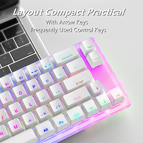 Womier K66 60% teclado mecánico, interruptor Gateron retroiluminado RGB con cable tipo C conmutable en caliente 60% teclado mecánico para PC PS4 Xbox (interruptor amarillo, blanco)