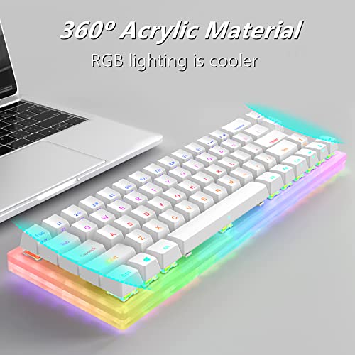 Womier K66 60% teclado mecánico, interruptor Gateron retroiluminado RGB con cable tipo C conmutable en caliente 60% teclado mecánico para PC PS4 Xbox (interruptor amarillo, blanco)
