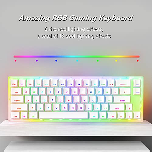 Womier K66 60% teclado mecánico, interruptor Gateron retroiluminado RGB con cable tipo C conmutable en caliente 60% teclado mecánico para PC PS4 Xbox (interruptor amarillo, blanco)