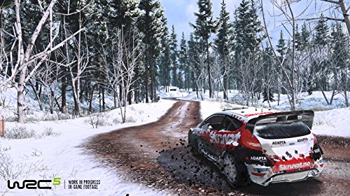 WRC 5 [Importación Alemana]