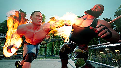 WWE 2K Battlegrounds - PlayStation 4 [Importación italiana]