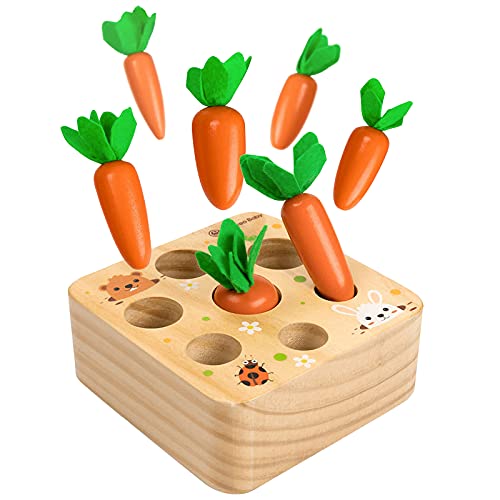 XIAPIA Juguetes Montessori 1 Años,Juguetes de Madera Niños Juego de Clasificación Rompecabezas Juguetes Educativos Regalo Bebe de Cumpleaños