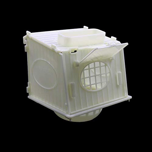 ZANGAO 1 Pc Palstic Brid Nest Pigeon Loro Canarias codorniz Eclosión habitación Blanca Aves Inicio Y Casa Bird Supplies (Color : White)
