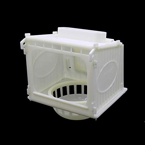 ZANGAO 1 Pc Palstic Brid Nest Pigeon Loro Canarias codorniz Eclosión habitación Blanca Aves Inicio Y Casa Bird Supplies (Color : White)