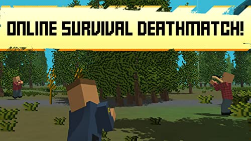 Zombie Survival 3D Online