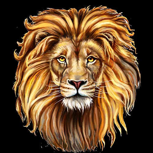 Zoo World Music Group.. [Explicit]