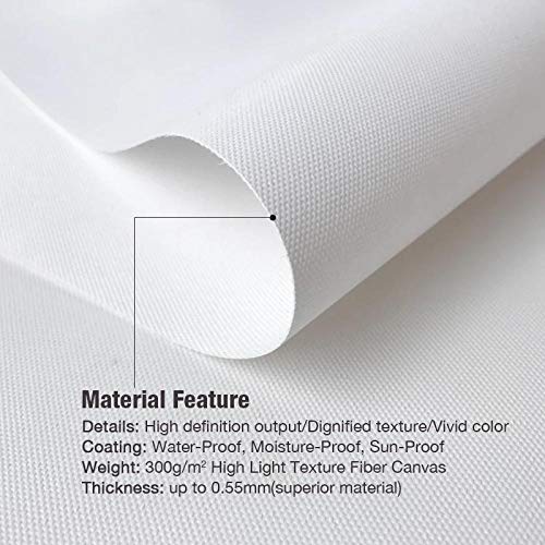 zuomo 5 Piezas HD Imágenes de Coches Deportivos de Lujo Rocket League Game Poster Pinturas Fast & Furious Poster Pinturas Lienzo Arte de la Pared 30x40 30x60 30x80cm Sin Marco