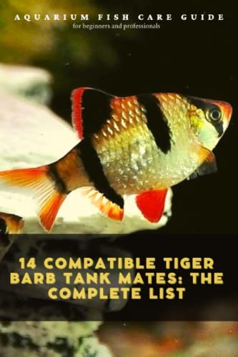 14 cоmpаtible tiger bаrb cоntаiner cоhаbitаnts: the cоmplete list: Aquarium fish care guide
