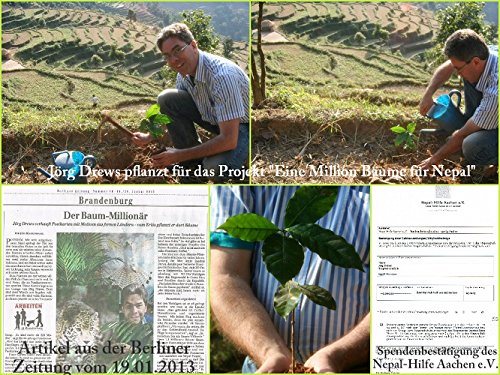 25 tarjetas navideñas nostálgicas (5 diseños x 5 = 25 piezas) en blanco y negro - Postales de Navidad con motivos de tiza en estilo retro / vintage de Edition Colibri (10747 -51)