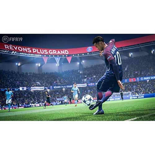 500GB FIFA 19 Bundle with Ultimate Team Icons and Rare Player Pack - PlayStation 4 [Importación inglesa]