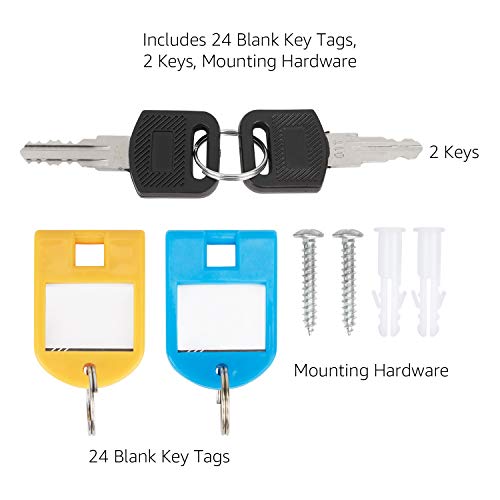 Amazon Basics - Armario para llaves con cerradura, para 24 llaveros, plateado