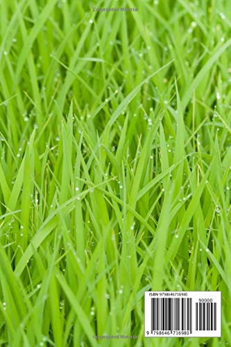 AWESOME SINCE 2014: 6st Girl's Birthday - Wow! Time Flies