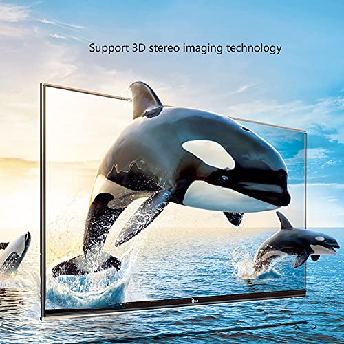 AWYST Cable DP 8K HDMI 2.1 Cable de Alta Velocidad 48Gbps Chapado en Oro 8K / 60Hz, 4K / 120Hz Compatible para computadora portátil, Monitor, PS5, PS4 y más Display Port (tamaño : 3m)