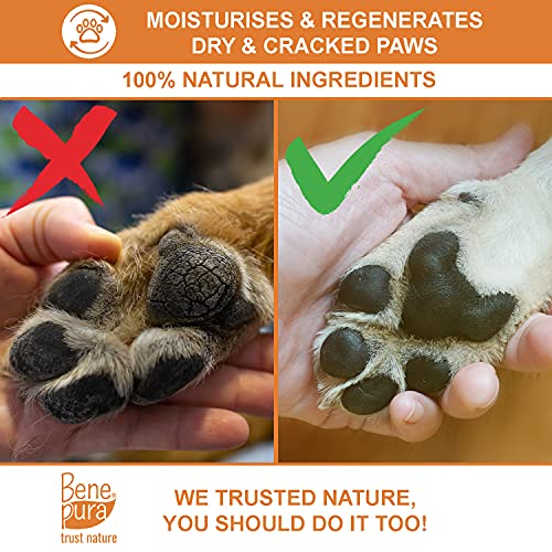Bálsamo para Mascotas 100% Natural Regenerador - para Patas, Nariz y Piel - para Perros y Gatos 40ml
