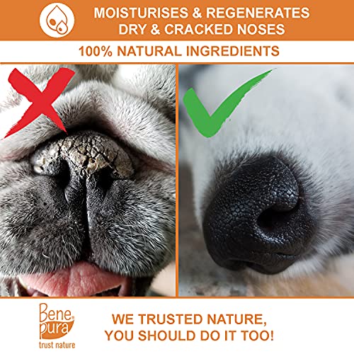 Bálsamo para Mascotas 100% Natural Regenerador - para Patas, Nariz y Piel - para Perros y Gatos 40ml