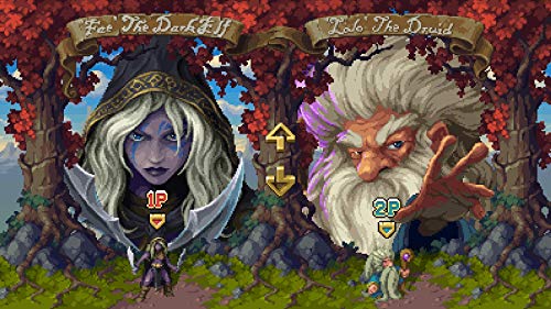 Battle Axe (PlayStation 4) [ [Importación alemana]