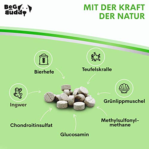 BeG Buddy Pastillas articulares para perros – Cápsulas articulares de alta dosis con mejillón verde, garra del diablo MSM, glucosamina, para todas las razas de perros, 100 pastillas